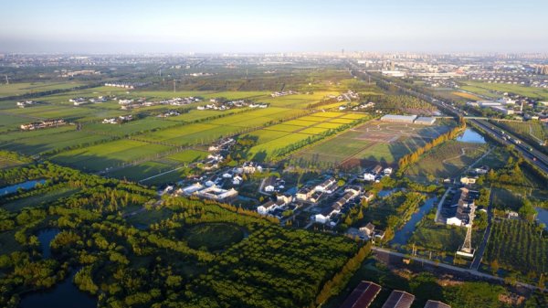 股天乐 成为沪上顶流“网红村”之后